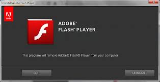 Adobe Flash Player Crack softar imag